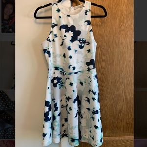 Townsen Multi Color Floral Skater Dress